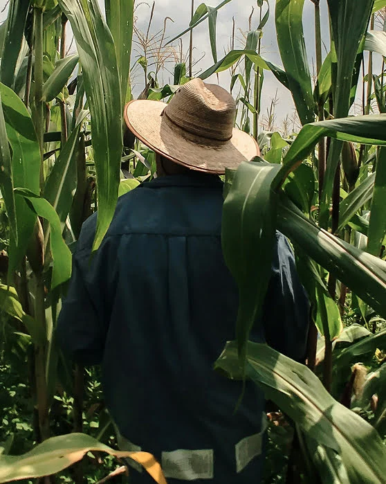 Imagen sobre nosotros 3