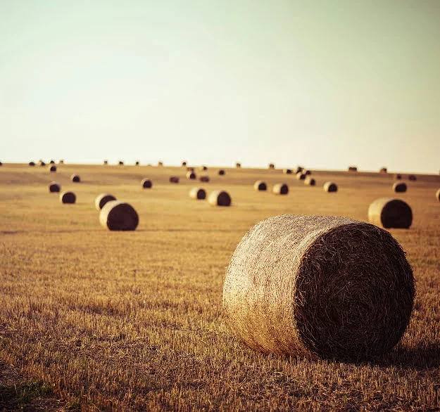 Cyclonic Combustion Chamber